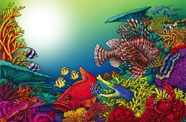 Reef Animals - Ink Line - Photoshop Painted